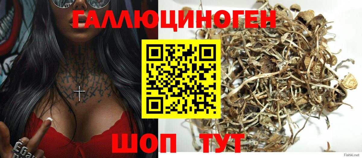 Галлюциногенные грибы мухоморы Соликамск