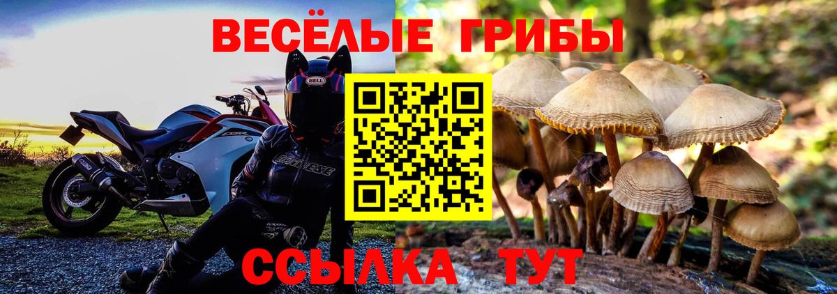Соликамск  Псилоцибиновые грибы Psilocybine cubensis  Вход с VPN 